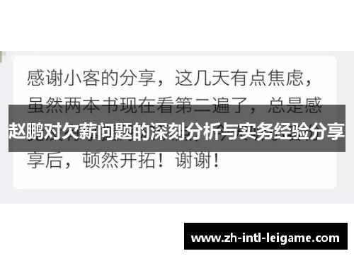 赵鹏对欠薪问题的深刻分析与实务经验分享