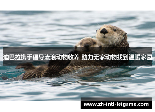 迪巴拉携手倡导流浪动物收养 助力无家动物找到温暖家园