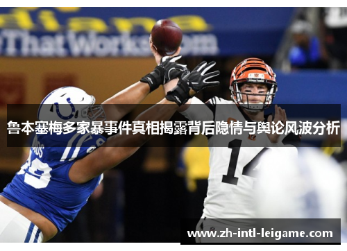 鲁本塞梅多家暴事件真相揭露背后隐情与舆论风波分析 鲁本塞梅多家暴事件真相揭露背后隐情与舆论风波分析